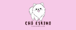 choeskimo.com